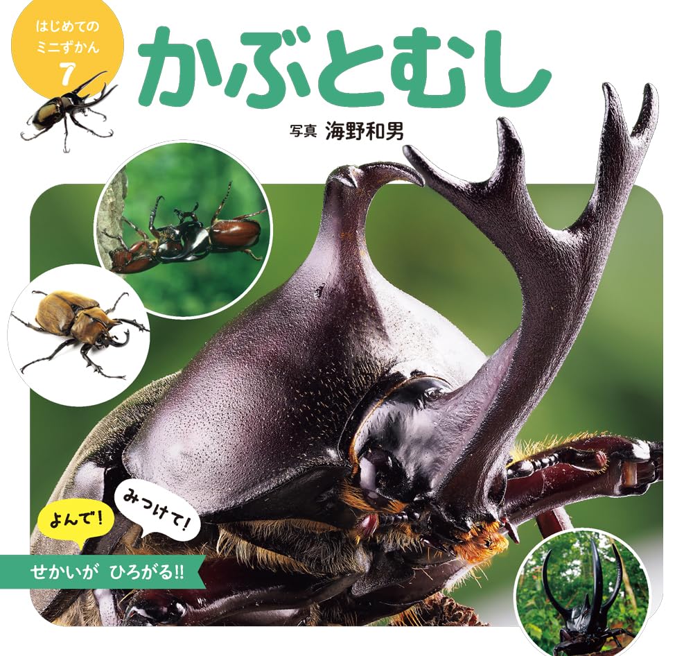 かぶとむし (はじめてのミニずかん 7) | 海野 和男 |本 | 通販 | Amazon